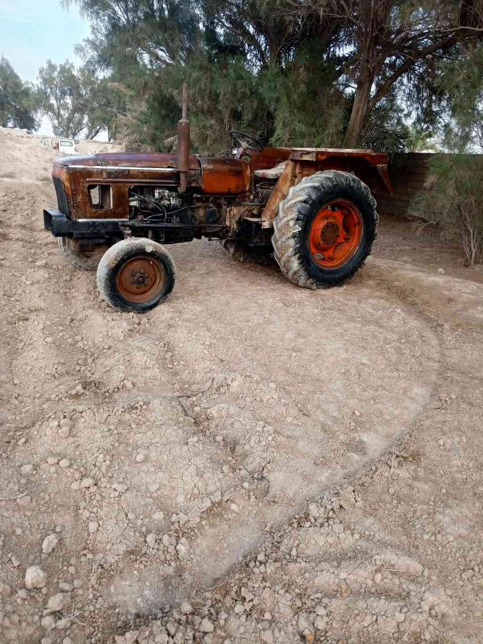 عنتر للبيع مكفوله 87 بيع مستعجل مكلف بالنشر *********** مكينه بلاديه
