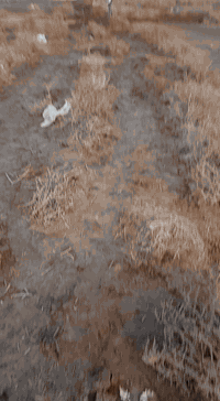 قطعه ركن للبيع حي فدك 220 للبيع اي تفاصيل الاتصال علرقم
***********
