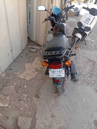 بوكسر جبلي • ياكل الكاع • ٢٠٢١