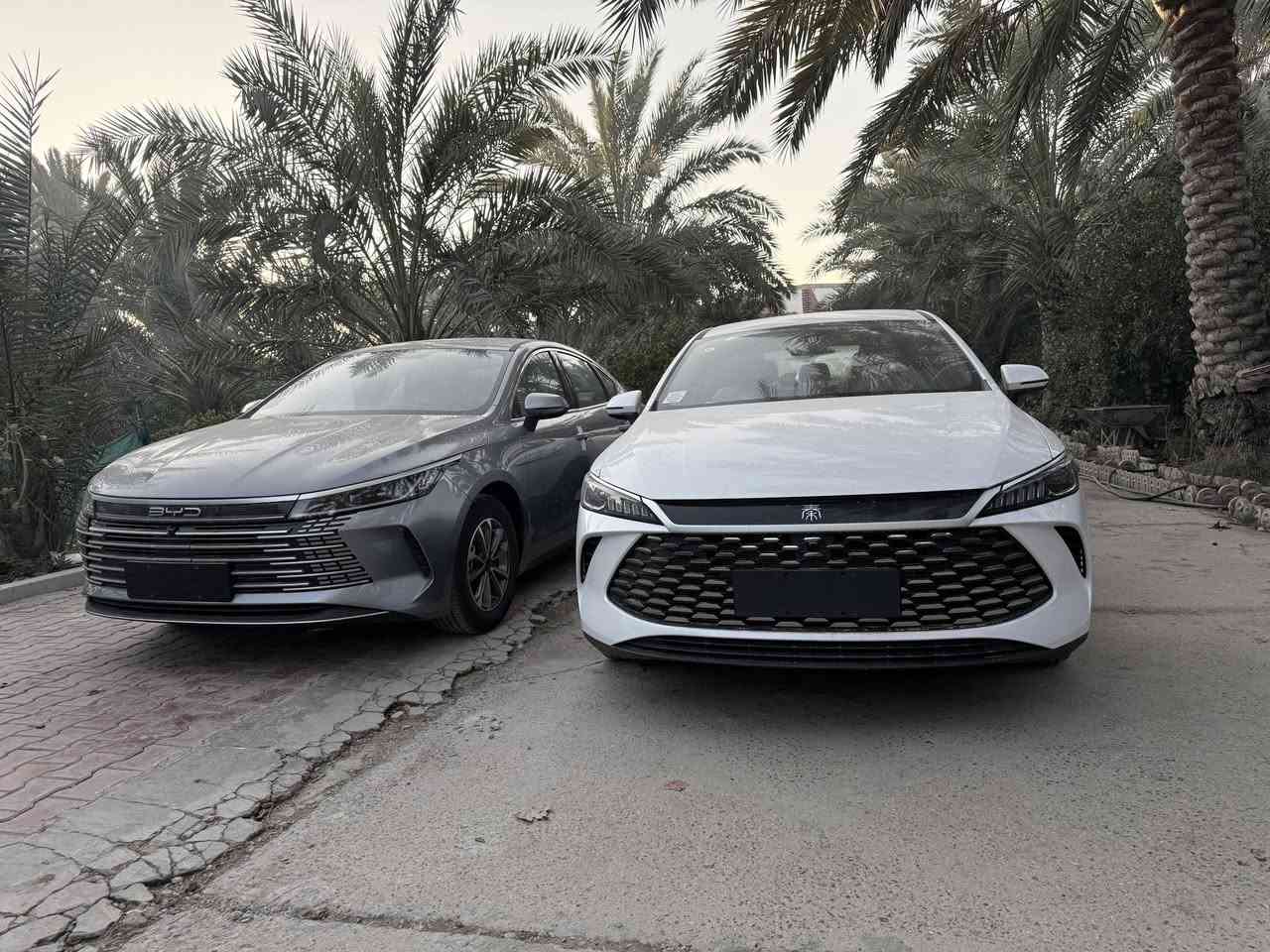 BYD عدد 4
وديستروي + كن بلاس
موديل 2025
بلكن هايبرد 
صغر كيلوا متر زيرو 
وديستروي 2 - كن بلاس 2

البلاس لون أبيض عدد 2
السعر 19 مليون
وديستروي 20 مليون ونص 

💎محرك 1500 هجين تنفس طبيعي هايبرد + بانزين + شحن ذاتي + شحن خارجي 
💎بصمه تشغيل+تشغيل عن بعد   
💎السياره مرتبطة بذكاء الصطناعي حسب قيادتك تصرف بانزين 
💎كير ماوس 
💎فتح باب كارت انفسي 
💎تبريد قطعتين 
💎شاشه قلاب + كار بلي  
💎بكلايت ليد متصل اشاره خلفيه نشره لكزز 
💎لد+ اشاره ليد لايت + لايت زينون 
💎هاندر بريك بصمه + اوتو هولد 
تشغيل فقط لمس للبريك
💎حساس خلفي + كامره خلفيه 
💎حساس ظغط اطار 
💎لايت اوتو 
💎اشاير مري
اوتو باص 
💎
 
مكان السيارة بغداد الكريعات داخل بيت
***********
