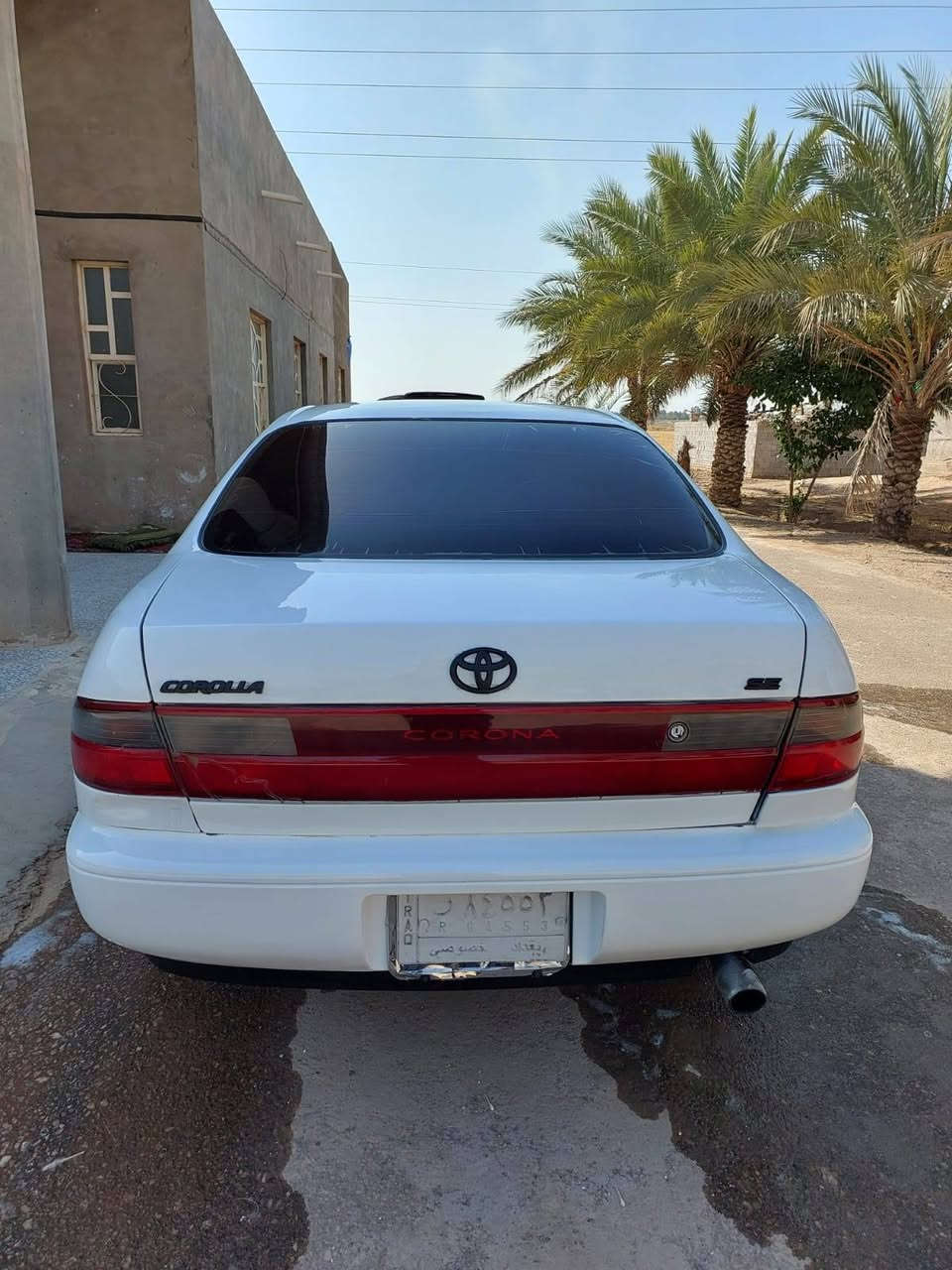 سلام عليكم كرونه نفخ مديل 1993 رقم بغداد مداور ثاني يوم مكفوله من كص وضربه القويه ونقل جثه مكينه وكير جدد حداديه جديد تخم تاير جديد كهربائيات كله شغاله تبريد شغال غرفه جديد سنتر لوك سياره جاهز مال جناي سعر 55 وبيه مجال بصيط شراي يتصل *********** مكاني نجف ناحيه الحريه
