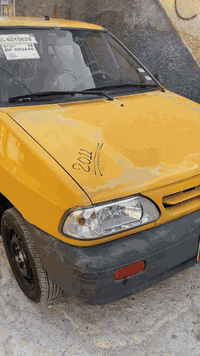 صبا • ٢٠١١ • الشعب