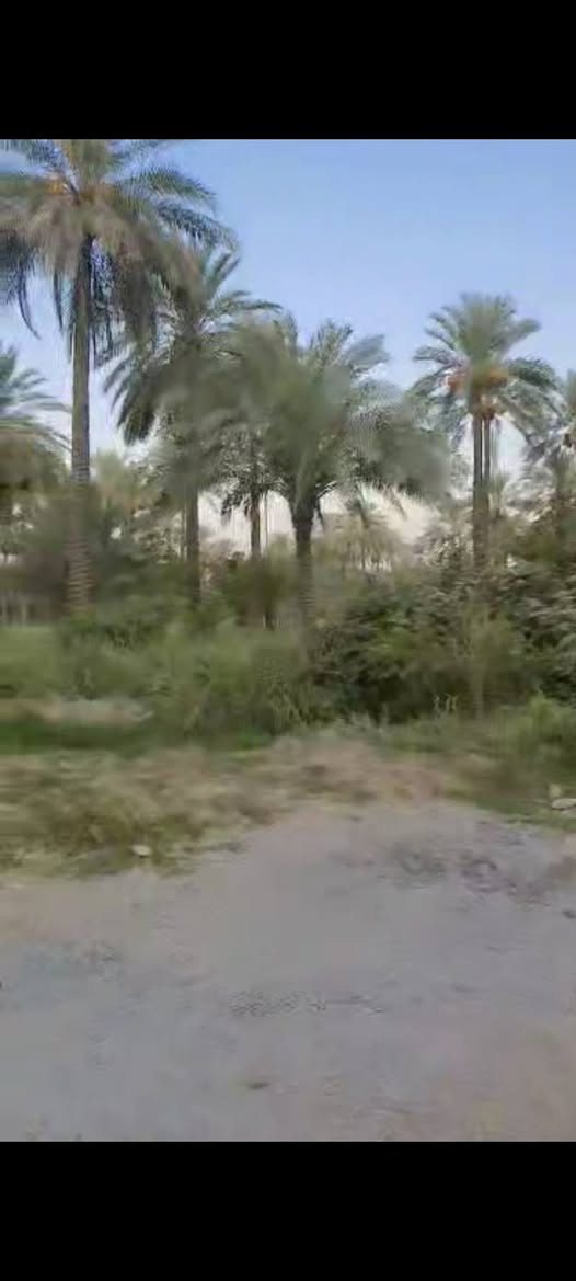 ملك 25
العنوان المدائن
مقابل الفرقة الاتحادية
ثالث دونم عن الشارع العام
الواجهه 51 ونصف النزال 24 ونصف
الخدمات
ماء اسالة+كهرباء+ماء سقي
للاستفسار عن السعر الاتصال على الرقم *********** بغداد, العراق
