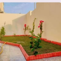 تصميم حدائق • زراعة نخيل • دهل اوران