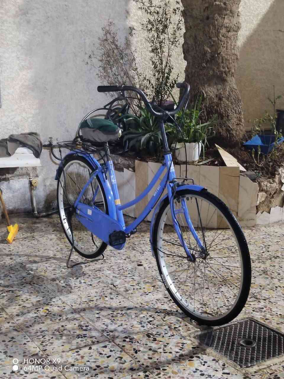 سلام عليكم باسكل لبيع باسكل نضيف حلو ومرتب بيع او مراوس ب درجه ***********
