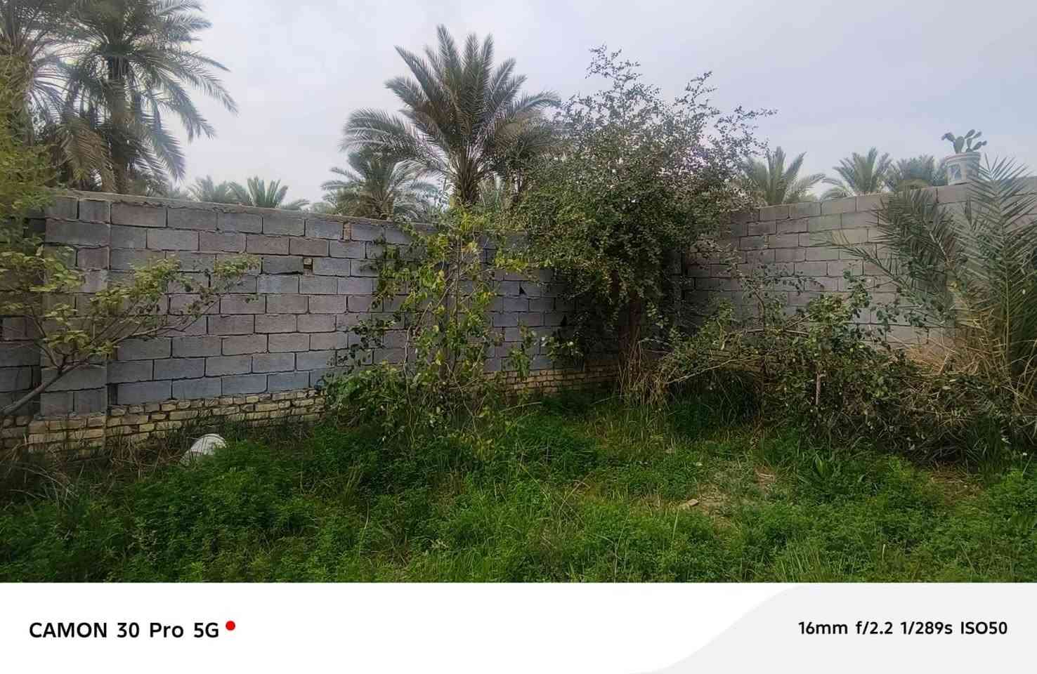 قطع 200 قطع كلش حلوه ويه نبك ونخلات 5 شويثيات    بسديناويه بشارع شرع السياحي
سعره 18 وبيه مجال


**إذا كنت صاحب هذا الإعلان وتريد حذفه لأي سبب، رجاءا أرسل رسالة إلى الدعم الفني**