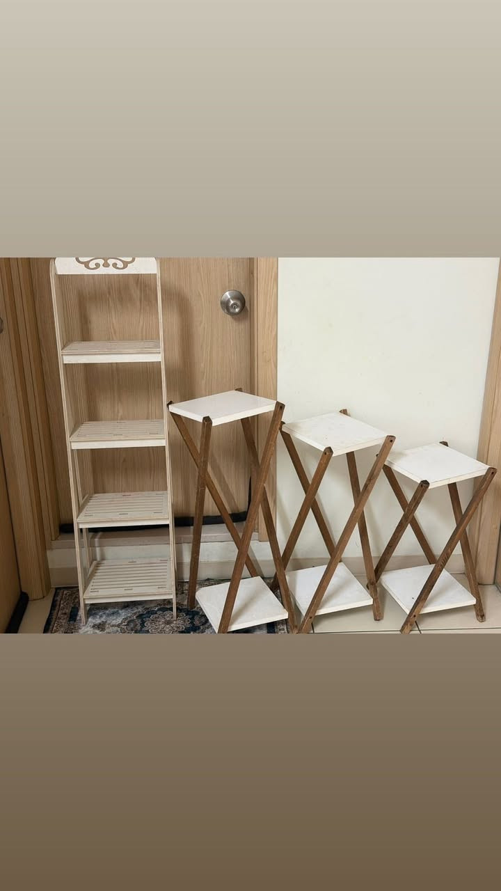 بنات رفوف نظيفه وجديده ومابيها اي ضرر الثلاثي سعره ٢٥ والطوابق سعره ١٥ الي تريدهن تفوت خاص مابيهن مجال سعر ثابت


**إذا كنت صاحب هذا الإعلان وتريد حذفه لأي سبب، رجاءا أرسل رسالة إلى الدعم الفني**