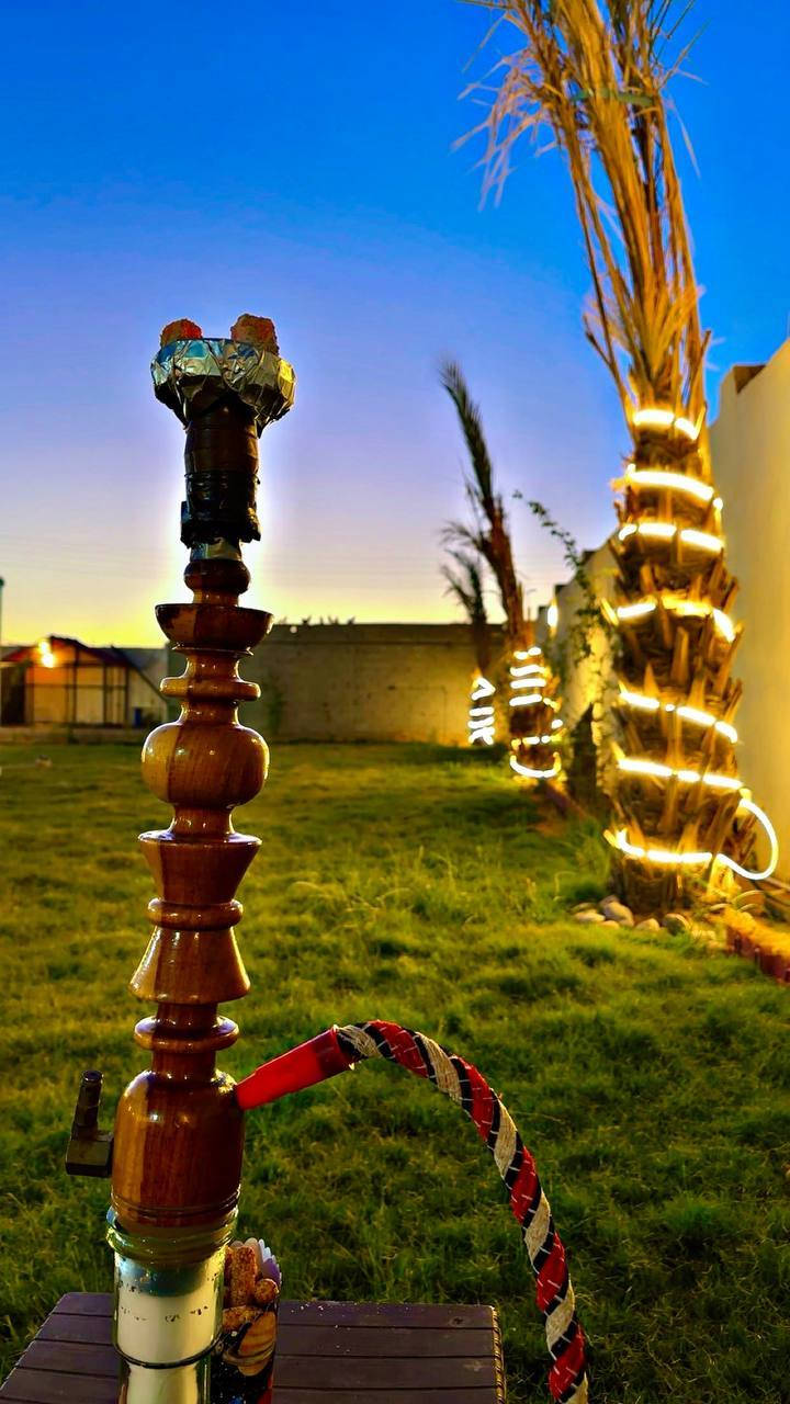 مزرعة سيلا متوفر حجوزات ايام العيد *********** ***********
