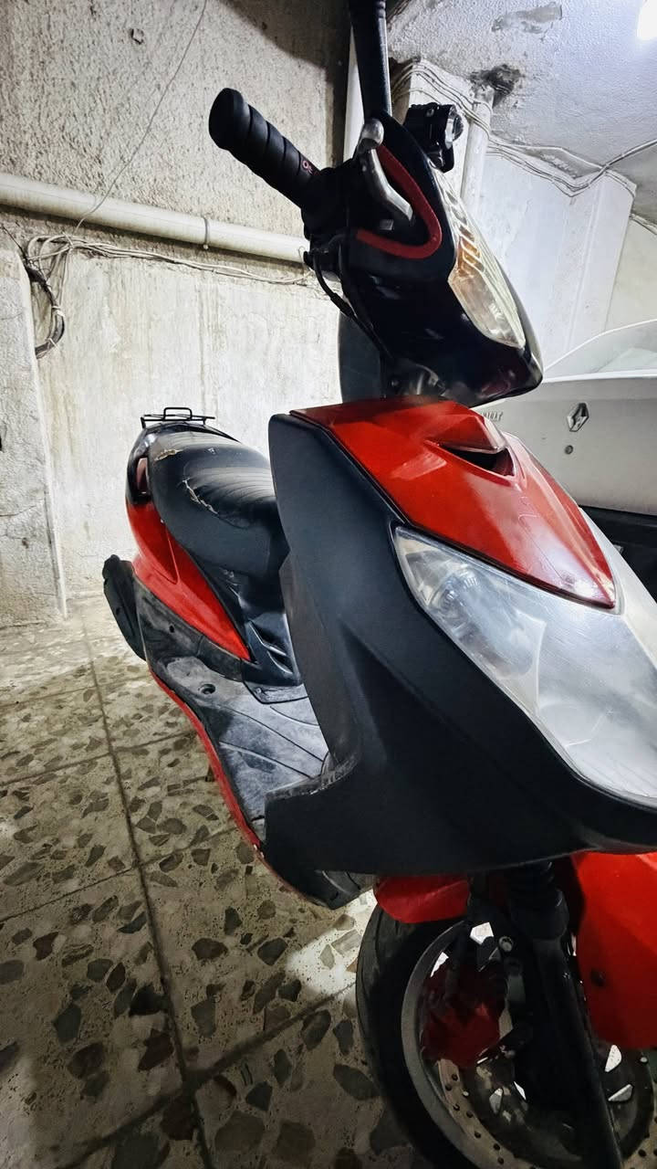 سلام عليكم ،، سكنس فحل ياباني 
المواصفات 
استاند ،، حساس 
قبق ،، نفخ
اللون احمر مميز 
نوزل 
دراجه خير من الله
السعر ،، 875 الف وبيه مجال قليل حك الجيه 
بغداد الشعب 
*********** واتساب
