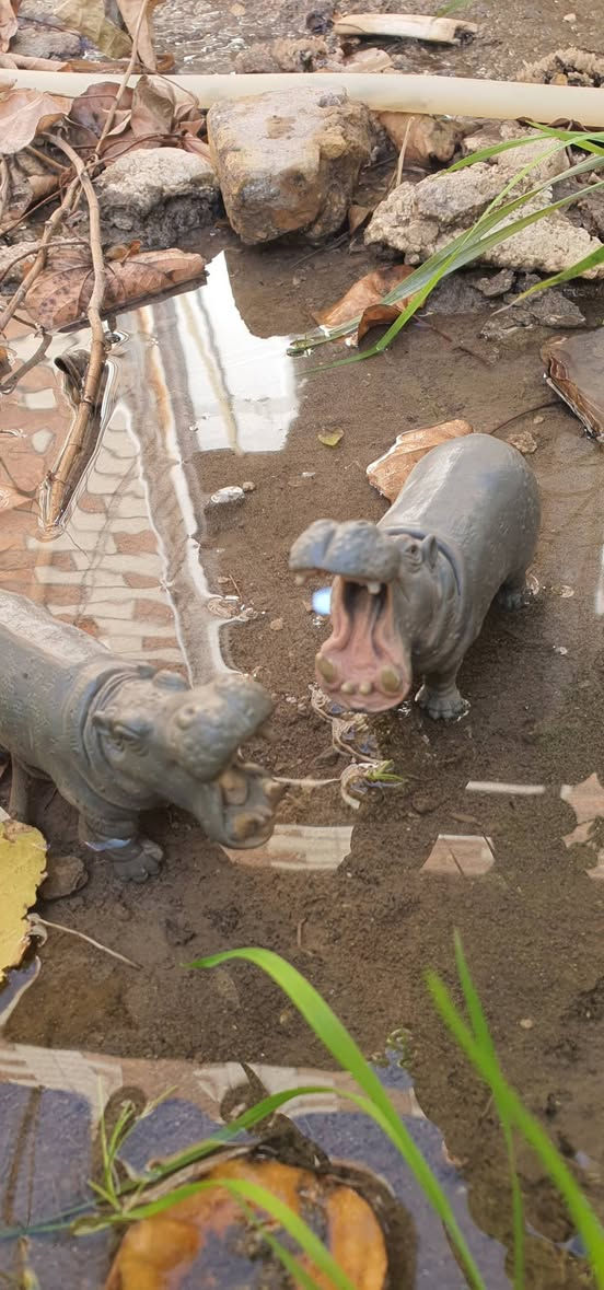 شلايش قديم 🌱🤍


**إذا كنت صاحب هذا الإعلان وتريد حذفه لأي سبب، رجاءا أرسل رسالة إلى الدعم الفني**