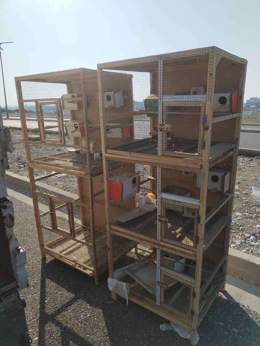 غراض للبيع كلمن وسعره للاتصال ع *********** كركوك, العراق
