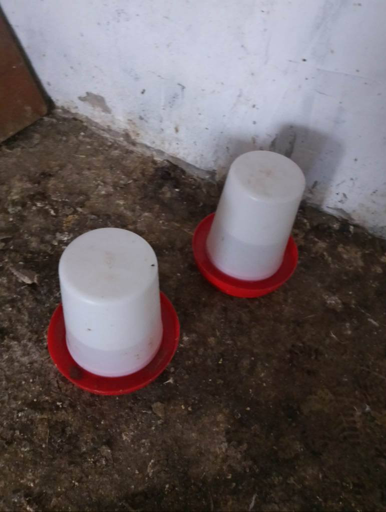 يا الله،،، محل دجاج كامل للبيع سبب البيع عدم التفرغ،، تريد بس الأغراض تريد هو واجاره لاجار شهريا ٢٠٠ الف
الأغراض كامله،،، من هلاسه تانكي مذبح قنينه طباخ ميزان اكتروني قفص حديد جلسه قنفات قطعتين،، ابيع كل الأغراض مفرد ما ابيع استفسار.
***********
العنوان،، سايدين حي العامل سوق لاخير بتقاطع مقابل جامع اهل البيت المحل بصف الركن
