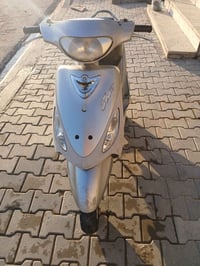 ماكس منغولي • كفالة عامة • وضع الوكالة