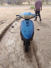 منغولي فحل • سلف • نقصه باتري