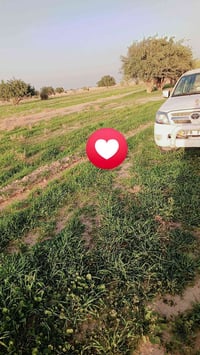 النجف رحبه • ٢٠٠ دونم • تجديد ٢٠٣٥