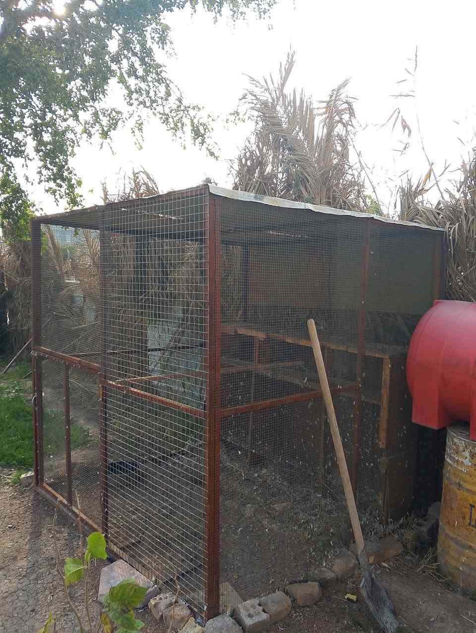 للبيع قفص حديد تسكام إرتفاع مترين وعرض مترين السعر 150 الشراي يتصل***********
