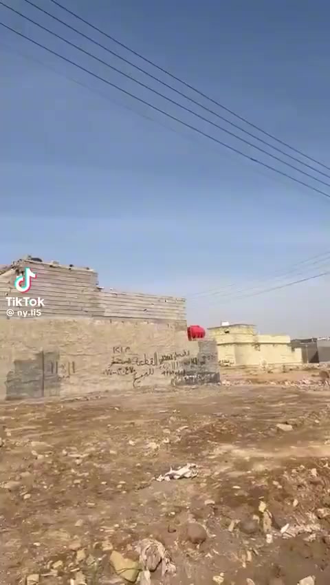 الاستفسار ***********
