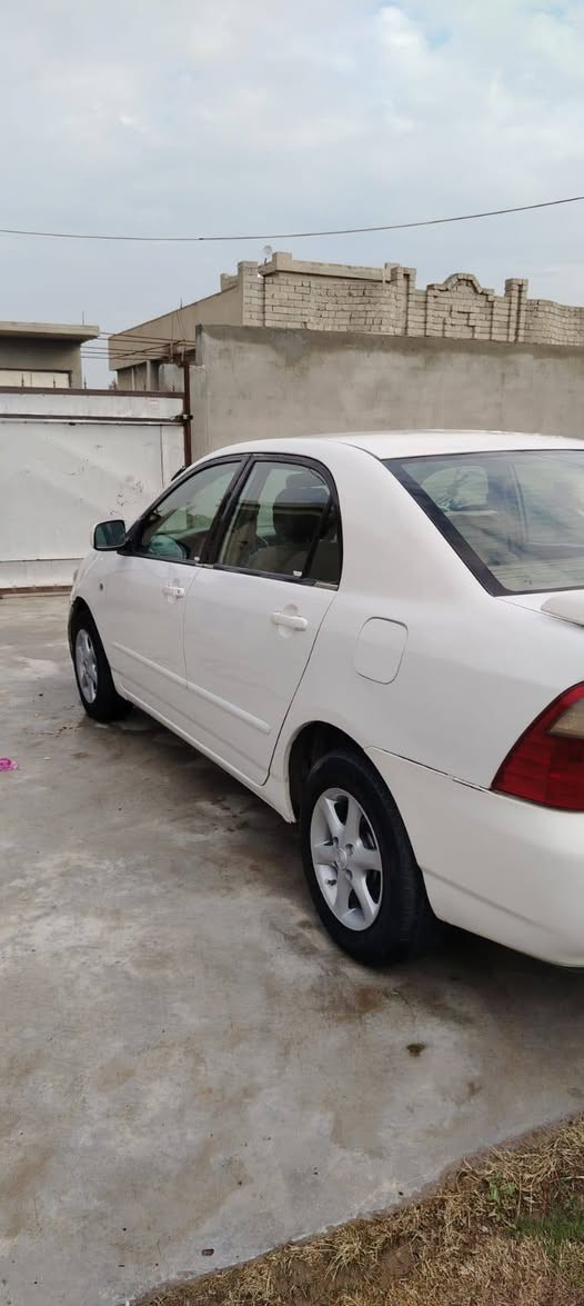 سلام عليكم كورلا بكاجيو 
موديل 2007
رقم بغداد ألماني شرعي بيجي
محرك 1800 خليجي 
صبغ قطعتين بدون دوخل جاملغ خلفي ع باب خلفي 
سياره محرك كير صدر تخم تايرات جديد تبريد ثلج 
مراوس حسب القناعه اتصال 
***********
السعر 97مكان بيجي المزرعه
