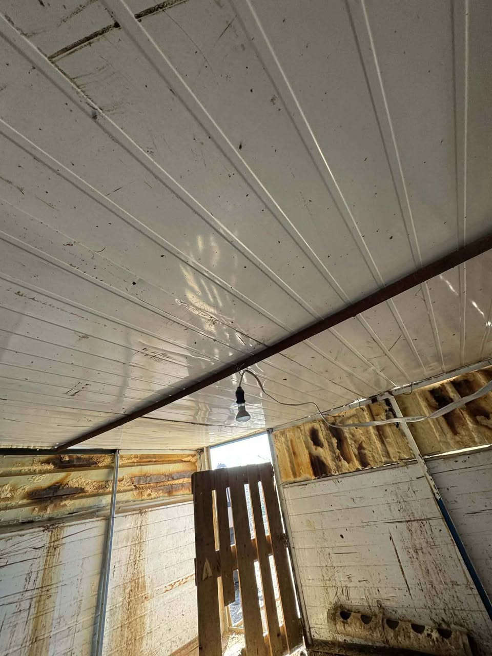 قەفەزی پەلەوەر بۆفرۆشتن بەبرووغو دەبەسترێت سەری بەپەناڵە  وە لاکانی پەناڵە  سێ بەسێیە 180بەرزە رانية, السليمانية


**إذا كنت صاحب هذا الإعلان وتريد حذفه لأي سبب، رجاءا أرسل رسالة إلى الدعم الفني**