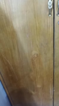 إسلام عليكم عندنه كتور ابو بابين سعره 50الف رقم الهاتف 07823599712