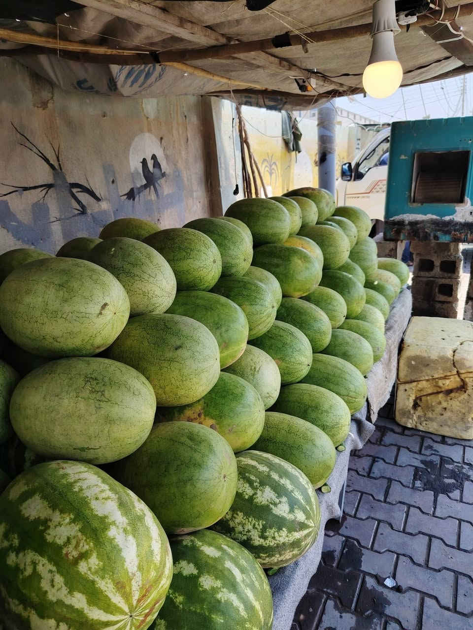 السلام عليكم
مسواگ جديد
خيار الحويجة رقم واحد مال طرشي ٧٥٠
طماطة ٣ اب الف.
رگي شرط ٣ اب الف

مقابيل السقيفة


**إذا كنت صاحب هذا الإعلان وتريد حذفه لأي سبب، رجاءا أرسل رسالة إلى الدعم الفني**