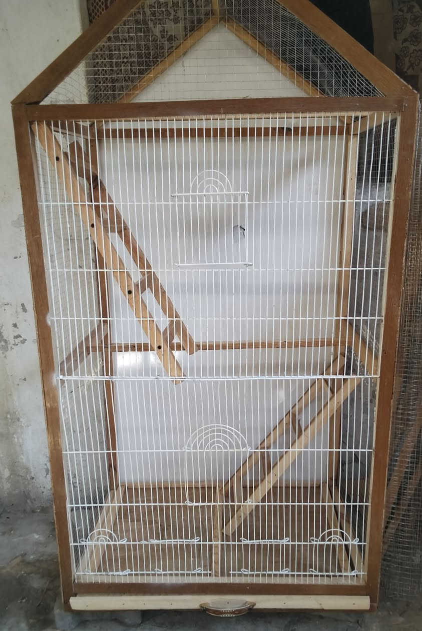 خوان قفص جديد ومرتب
مثل مواضح بلفيديو الطول 135 ولعرض 70 ولنزال 50
بي مجر بي 2 دروجه كلشي يرهم بي كوكتيل غندور طيور حب فناجس بكيفك السعر 40 بي مجال لشراي


**إذا كنت صاحب هذا الإعلان وتريد حذفه لأي سبب، رجاءا أرسل رسالة إلى الدعم الفني**