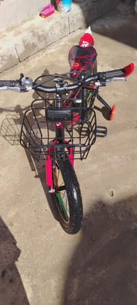 باسكل • نضيف • موصل التأميم