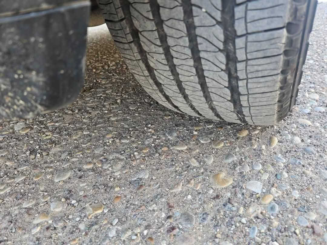 بيع فقطو تخم ويل جيب مع تخم تاير كودير انتاج 23 نظافه ١٠٠% السعر ٥٥٠ الف قفل قفل قفل ***********
