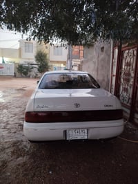 كراون • مصبوغة • بلنجف