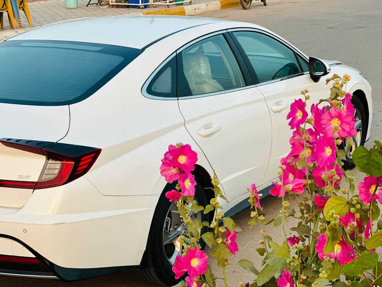 سلام عليكم سوناتا 2023 /السعر185 وبيه مجال
وارد خليجي كفاله عامه رقم اربيل بسمي077245510
تحويل ثاني يوم


**إذا كنت صاحب هذا الإعلان وتريد حذفه لأي سبب، رجاءا أرسل رسالة إلى الدعم الفني**