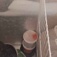 مجمدة • نضيفه • بصرة زبير