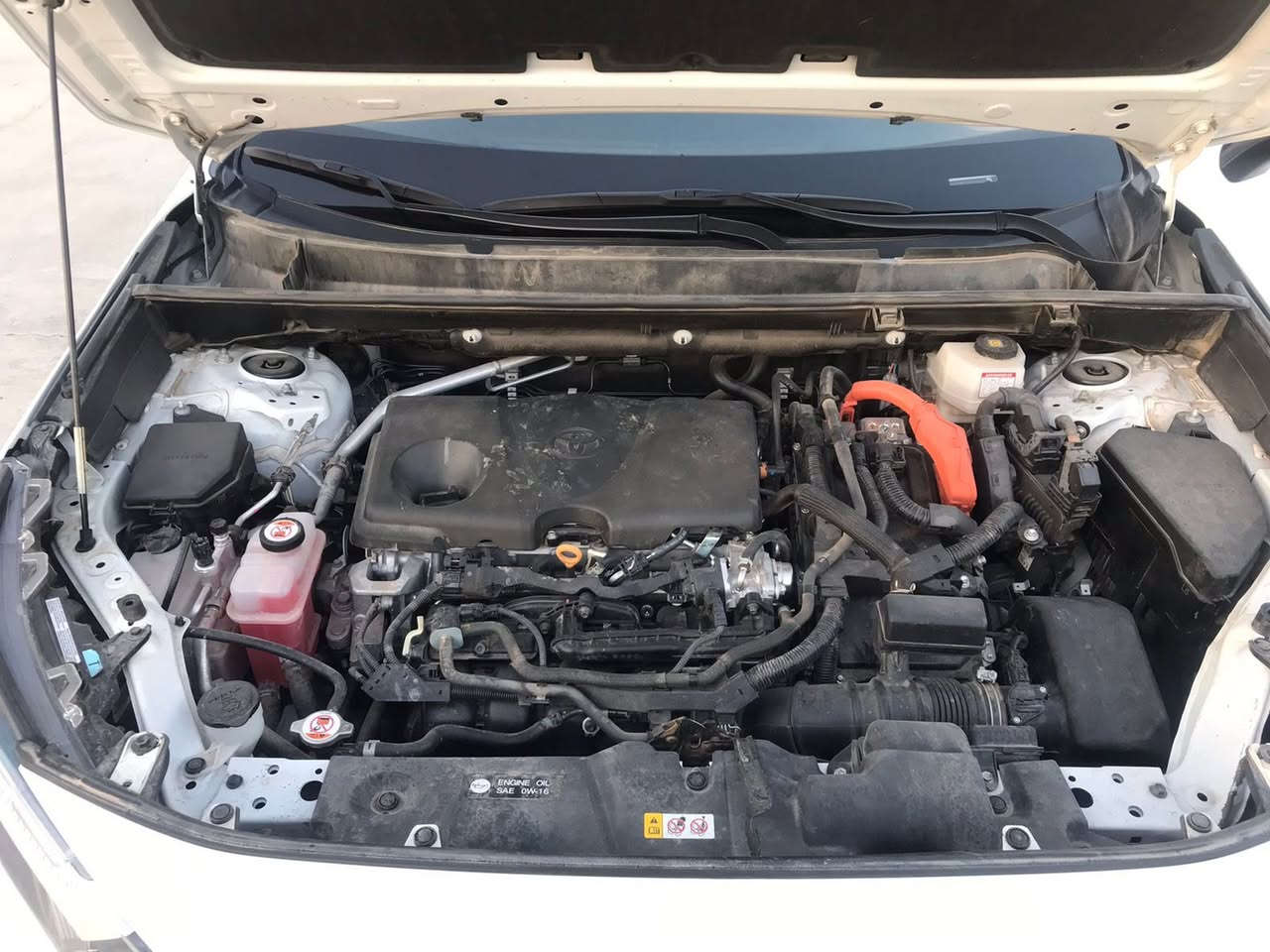 السلام عليكم ورحمة الله وبركاته
للبيع – تويوتا راف فور RAV4 LE هايبرد

وارد أمريكا | موديل 2024**

• الفئة: LE

• المحرك: هايبرد 2.5L اقتصادي جداً

• الدفع: AWD دفع رباعي

• العداد: 13,000 ميل فقط

مواصفات فئة LE (وارد أمريكي):

 • تحكم استيرن  (تحكم بقيادة + صوت + أوامر)

 • شاشة وسطية مع بلوتوث و Android Auto / Apple CarPlay

 • كاميرا خلفية دوارة 

 • إضاءة LED أمامية

 • مثبت سرعة (Cruise Control)

 • فرامل ABS + مانع انزلاق

 • نظام أمان Toyota Safety Sense يشمل:

• تنبيه ما قبل الاصطدام

• التعرف على لوحات المرور

 • مكيف أوتوماتيك

 • منافذ USB + pd

 • مقاعد قماش

 • وضعيات قيادة متعددة

 • اقتصاد عالي بالبنزين ( هايبرد ) 

الحادث ( 1- تبديل دعامية اصلي ام الحساس -2- تبديل مازده يسره -3- بارد باب سائق مسافة اصبع وعلى كد مسافة الجاملغ وبارد خفيف بالبنيد فوق المازده اقل من طول المازده 

رقم الشاصي (VIN):

4T3MWRFVXRU146907

السعر المطلوب: 24,000$

للاتصال أو واتساب:

***********
