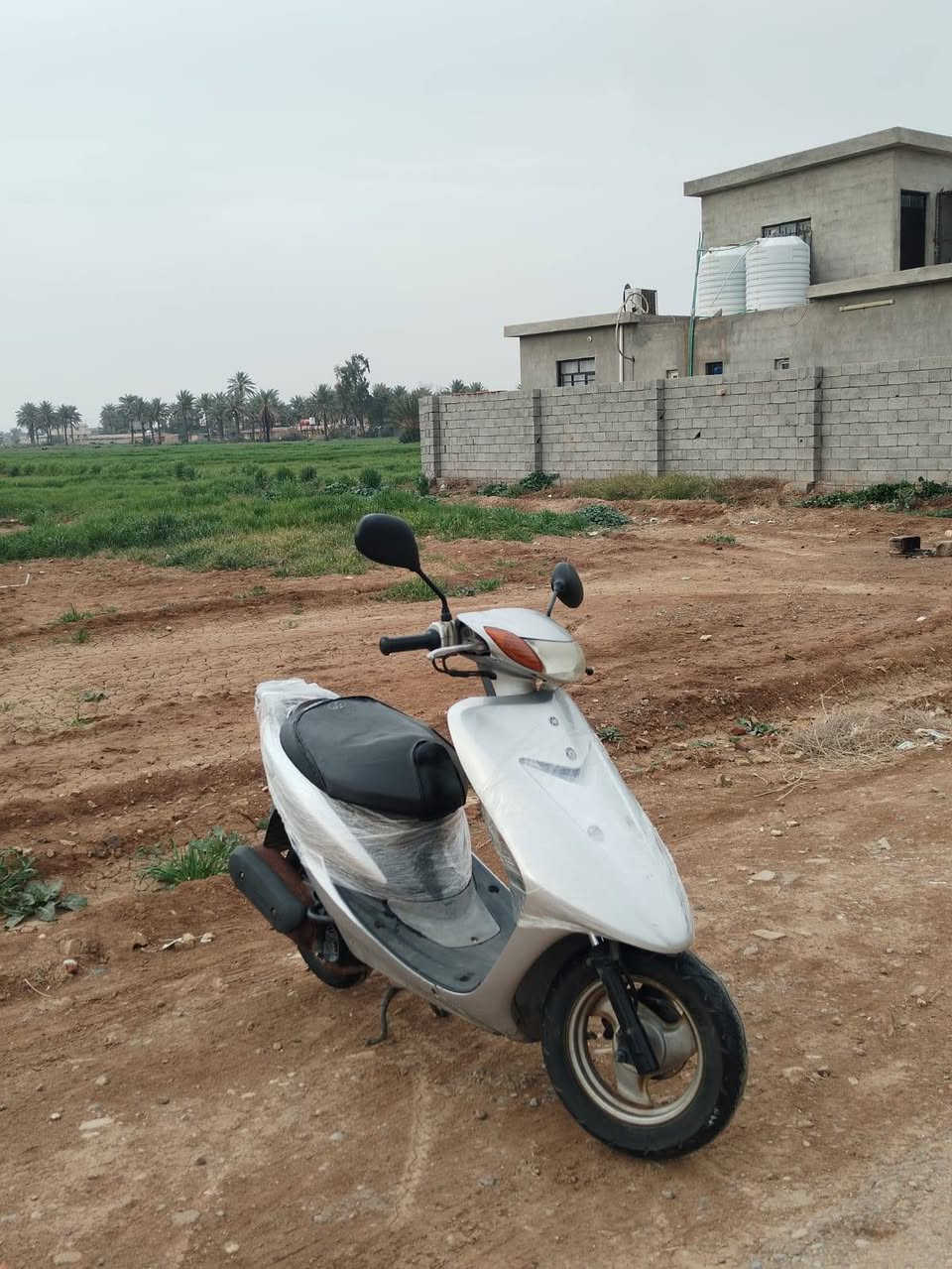 السلام عليكم
للبيع دراجه عصفوريه كلهه شغال مابيهه برغي نقص ابيعلك مكفوله 
العنوان/بغداد بسمايه 
السعر/525
***********
