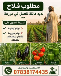 مطلوب فلاح • عمل في مزرعة • فلاح مع عائلة • عامل زراعي • وظائف زراعية ...