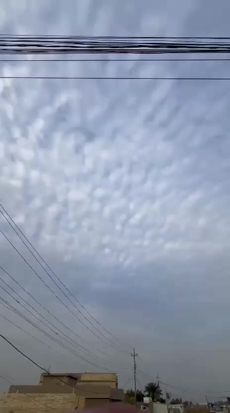 السلام عليكم عشرين لبيع اوروق اورق التكتك  حلو كلش احله من الصور التكتك اورق اصليه اويك لترقيم المكان بغداد جسر ديالى القديم ***********
