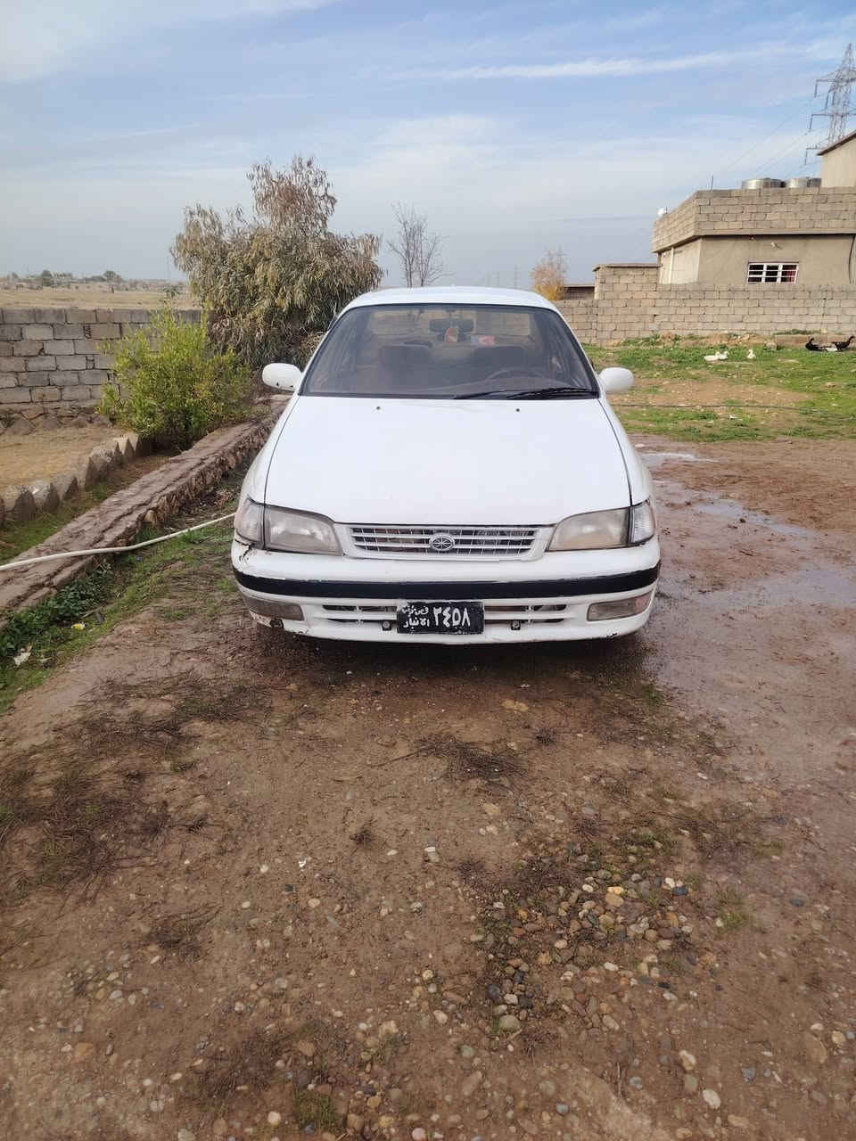 فرخ بطه للبيع موديل 94 شرط التحويل رقم انبار گير ومحرك شرط السعر 30  وبيها مجال قليل *********** مكان السياره ناحيه الشوره قرية العين والصفيه
