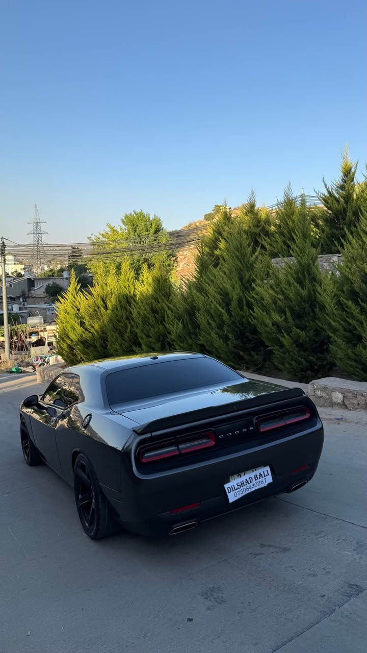 دوج جالنجر ٢٠٢٠
محرك ٦
ماشي ٨٠ ميل
مواصفات sxt
صبخ بس بونيد صبخ بدون شاصي 
ارباك سيستم 
رقم سنوي هذة جديد كلو بسمي تحويل وكالة شرط 
تغم تايرات جديد 
سعر١٦٥ ورقه 
مكاني دهوك 
رقم موبايل واتس اب *********** دهوك, العراق
