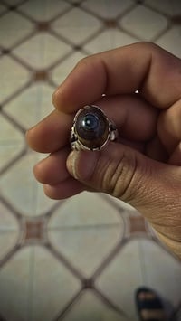 داوودي • للمراوس