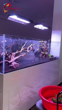 أحواض مزروعة • ٢٠–١٨٠ سم • نقل ونصب