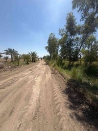 🌿 لمحبين الهدوء والراحة – فرصة مميزة بمساحة 4دونم في منطقة شيخ عامر ال...