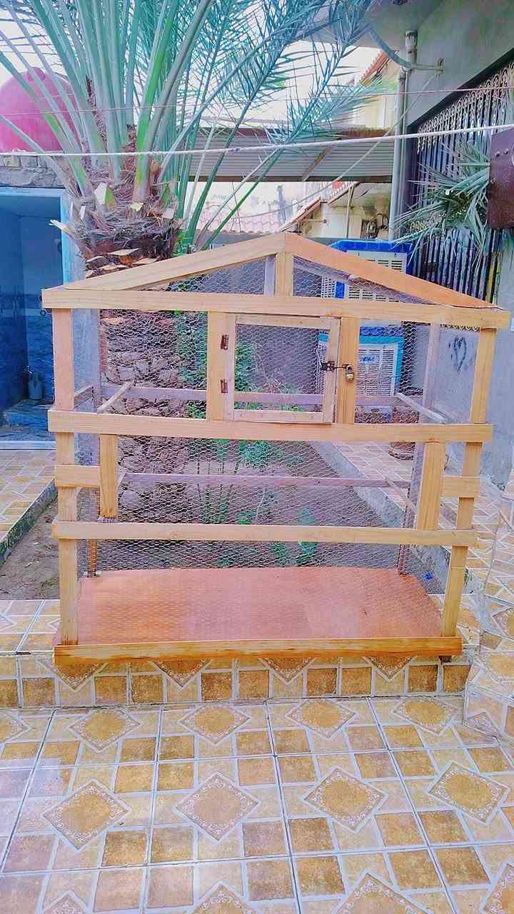 قفص تسكام السعر 60 قفل. مكانه صلاحيةة تواصل هنا مكاني صلاحية.
***********
