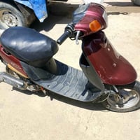 بوتين • معمر • شغال