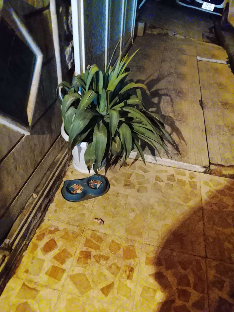 للبيع بنور الله قيم واخذ


**إذا كنت صاحب هذا الإعلان وتريد حذفه لأي سبب، رجاءا أرسل رسالة إلى الدعم الفني**