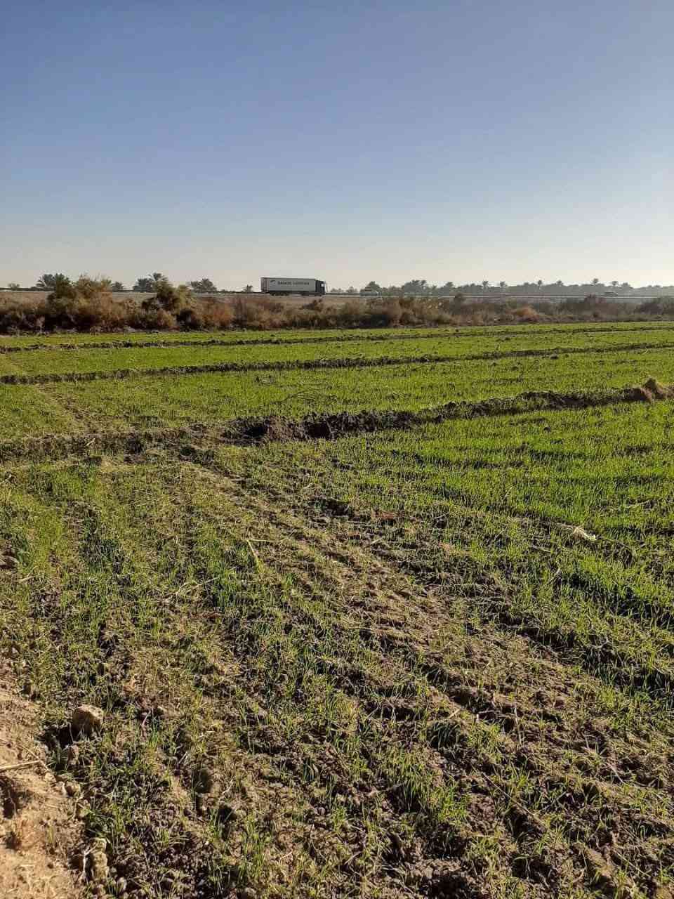 🌹السلام عليكم ..🌹

🌌#__أرض_زراعية__للبيع  🌌

🌍🟧#موقع_راقي__راقي__جدا

🌎 موقع راقي جدا صالح للاستثمار والسكن والزراعة 

🌐🌎الموقع ** الحمزة الغربي   __ مقابل شركة الاتحاد للسكر

🟥التفاصيل 👇👇

🟧المساحة : 4 دونم 

🌠 مباشر على الشارع الدولي 

🌌 صالحة للسكن والزراعة والاستثمار 

🟥السعر : سعر الدونم الواحد 18مليون وبيه مجال 

🌠 البيع عن طريق المكتب حصرا 

للاستفسار اكثر يرجى زيارة مكتبنا مكتب دلالية الرياحين للعقار          
#الكائن ..
 مقابل مديرية ناحية الحمزة على جهة الشارع الخدمي مجاور مكتب الإمارة.
             أو 
🟥الاتصال على ،,#الادارة:  *********** واتساب 

                                         *********** واتساب 

                                         *********** واتساب 

🏞️🏞️ للأعلان والترويج عن عقاراتكم يرجى مراسلة الصفحة أو مراسلة خدمة الزبائن واتساب ☎️ *********** ☎️
