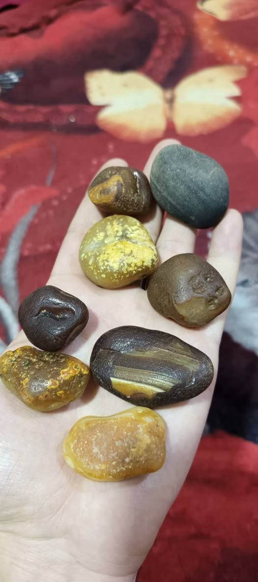 أحجار سلطاني خام و سليماني خام مصور كله تحف نوادر انتيكة بسعر البلاش قطعة 5 آلاف عرض خاص فترة محدودة أقل طلب 4 قطع توصيل موجود لكل العراق وبلخدمة والي يريد شلع يدلل للطلب خاص


**إذا كنت صاحب هذا الإعلان وتريد حذفه لأي سبب، رجاءا أرسل رسالة إلى الدعم الفني**