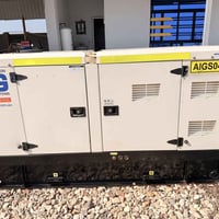 مولد • كابوتا ياباني • ستامفورد