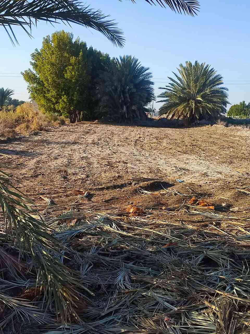 السعر مناسب 🟥🟥🟥قطعه ارض عقد زراعي موقعه بين الملاحه والسدير يم معمل ماء السدير وره غسل اربيع  العرض 12 ونص متر والنزال 110 واكثر  تقع عله شارع السياحي بعد عن تبليط 100متر على راسه نازل شارع سبيس فول خدمات  ماي اساله +كهرباء، كامله مواصفات  لتواصل او الاستفسار خاص او الاتصال عله رقم ***********
