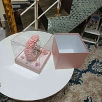 الناصرية • ذي قار • عرض