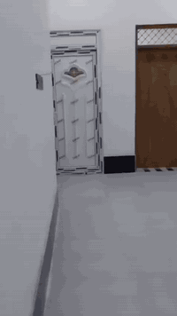 على بركة الله 
دار للبيع  طابو صرف البناء حديث2025 حي السلام على ساحه 
المساحة 300م
تفاصيل البيت الطابق لارضي  يتكون من ثلاث مداخل+  مجمع صحيات خارجيه 
الاستقبال الطول 17 العرض 5
صاله الطول 12+العرض 7+
غرفتين نوم +مجمع صحيات داخليه+مناور+مطبخ كبير حار بارد +الطابق العلوي نفس التفاصيل الارضي
السعر 200مليون وبي مجال قليل 
للاستفسار اتصل  ***********
