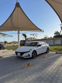 خليجي • فول ١/١ • رقم اربيل